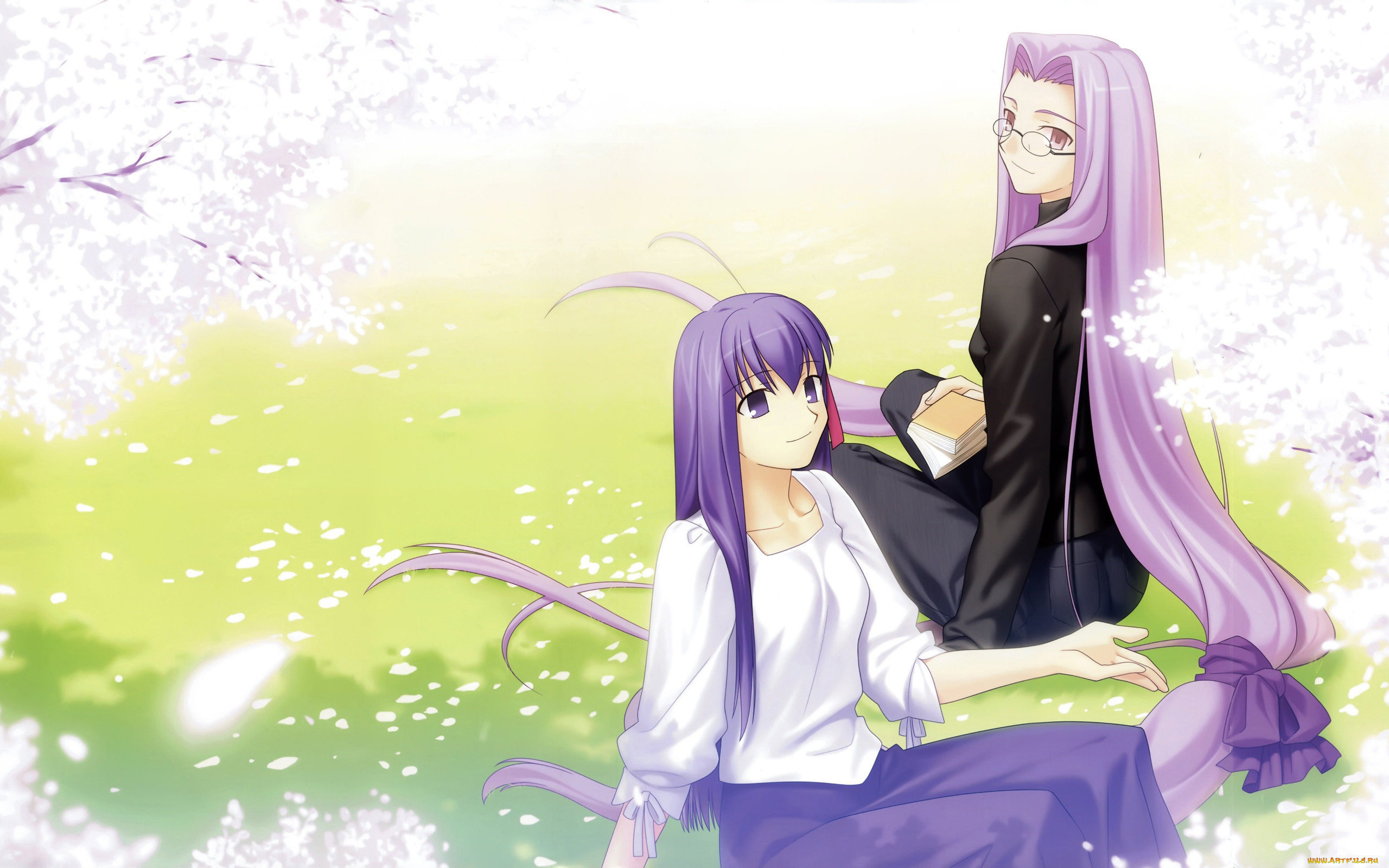, fate, stay, night
